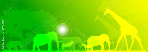animali, sole, savana