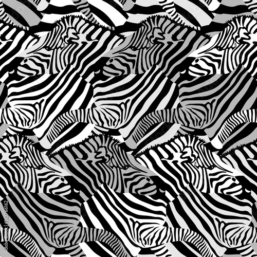 Zebra seamless pattern.  Wild animal texture design. Striped black and white. Illustration isolated on white background.