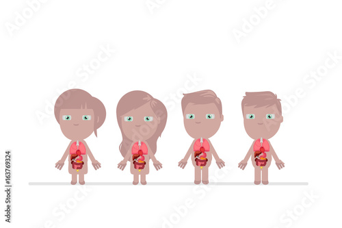 Human body anatomy vector illustration