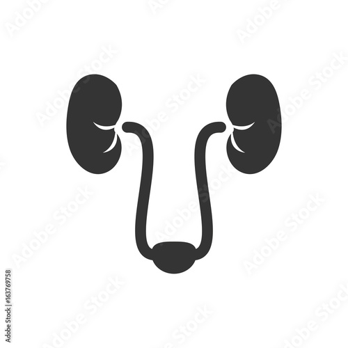 Urology Icon