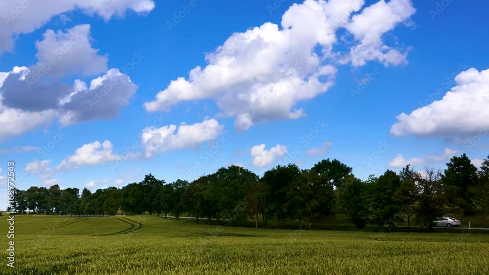 Wheat field and blue sky with clouds moving. 4K TimeLapse Wheat field and blue sky with clouds moving. 4K TimeLapse