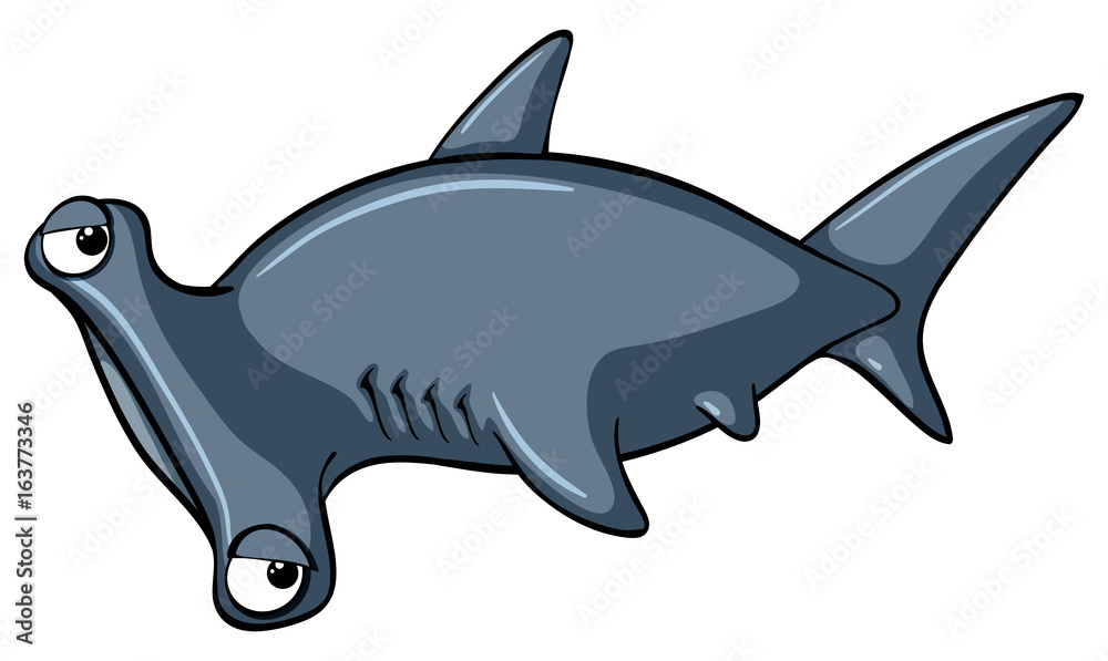 Shark on white background