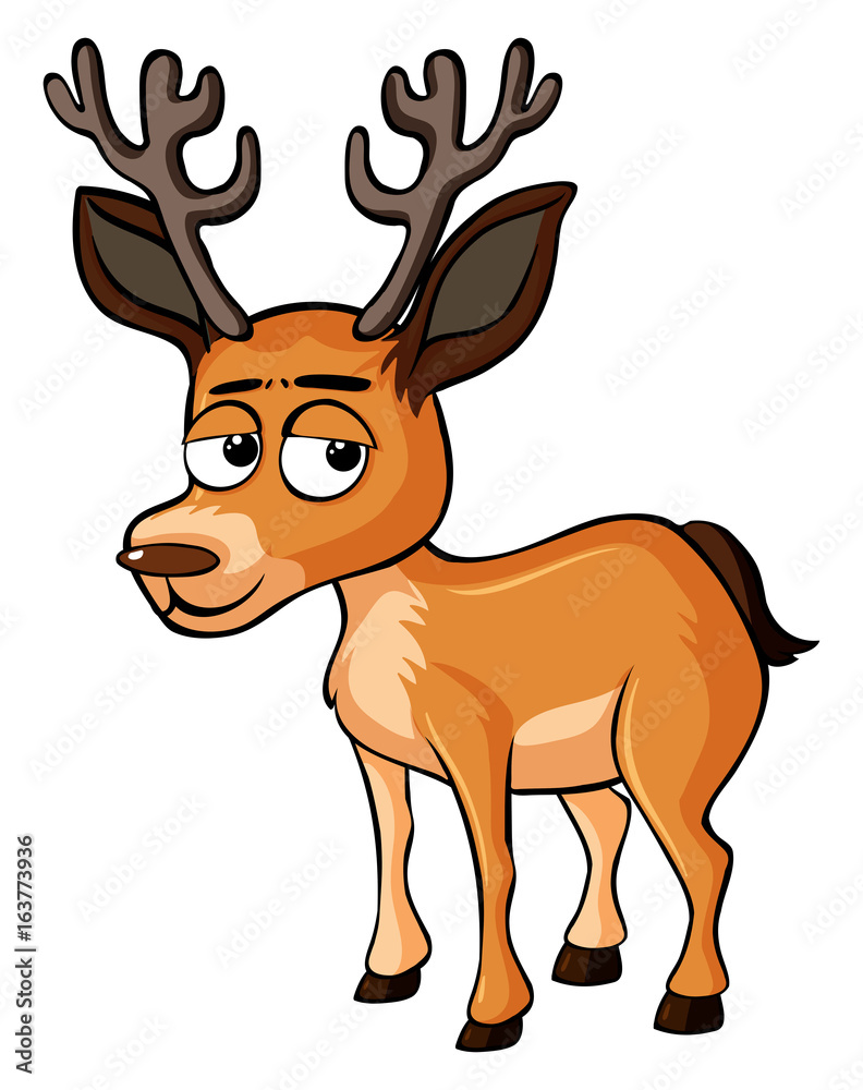 Little deer with unhappy face