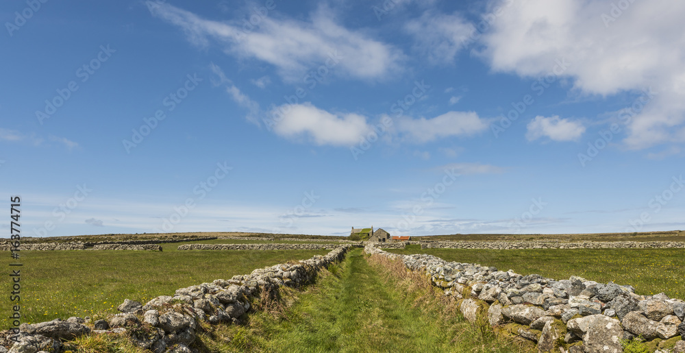 Cornish Landscape with Old Farm