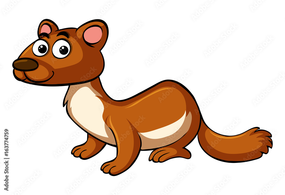 Obraz premium Brown mongoose on white background