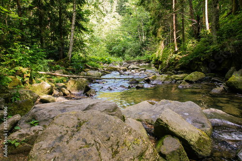 Beautiful mountain river flowing through the green forest.Carpathians