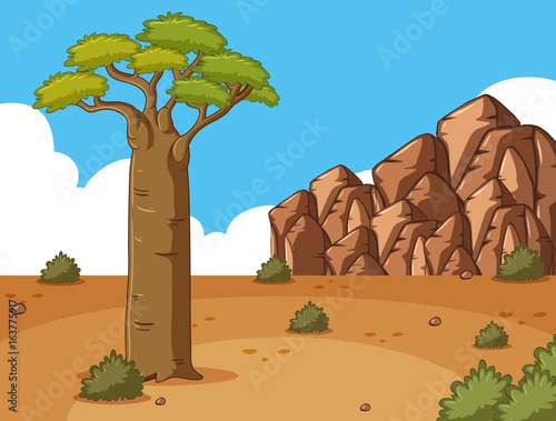 Scene with tall tree and rocks