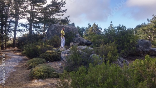 Canvas Print Mont limbara, tempio pausania, sardaigne, italie, mont, montagne, foret, roche