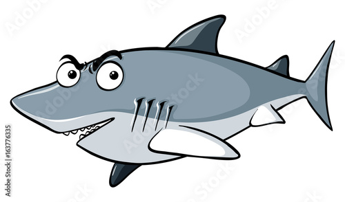 Gray shark on white background