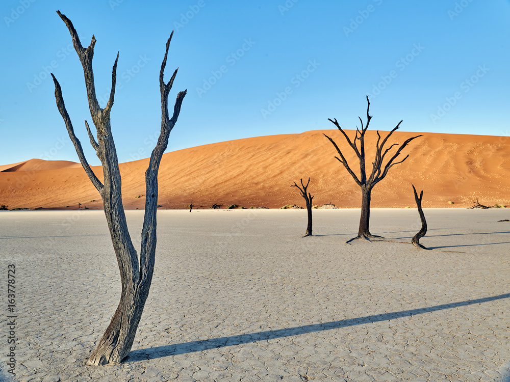 desert of namib with orange dunes desert of namib with orange dunes