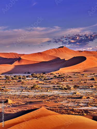 desert of namib with orange dunes