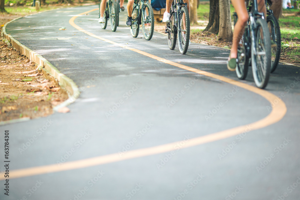 Fototapeta premium Bike path,movement of cyclist in the park