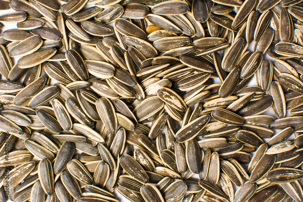Sunflower seeds on a pile background Sunflower seeds on a pile background