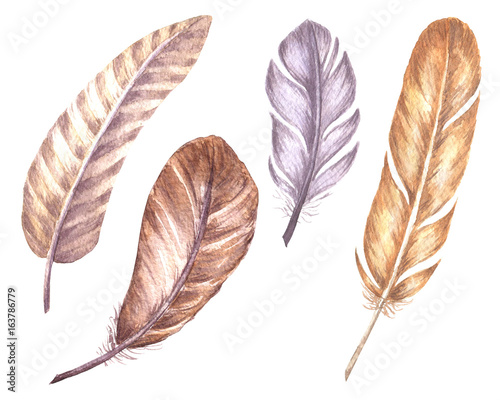 Watercolor hand drawn feathers set, isolated on white background.