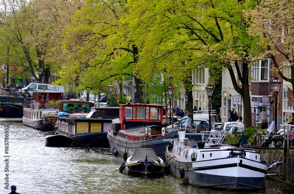 amsterdam canaux eau péniche rue bateau nature arbre hollande amsterdam canaux eau péniche rue bateau nature arbre hollande