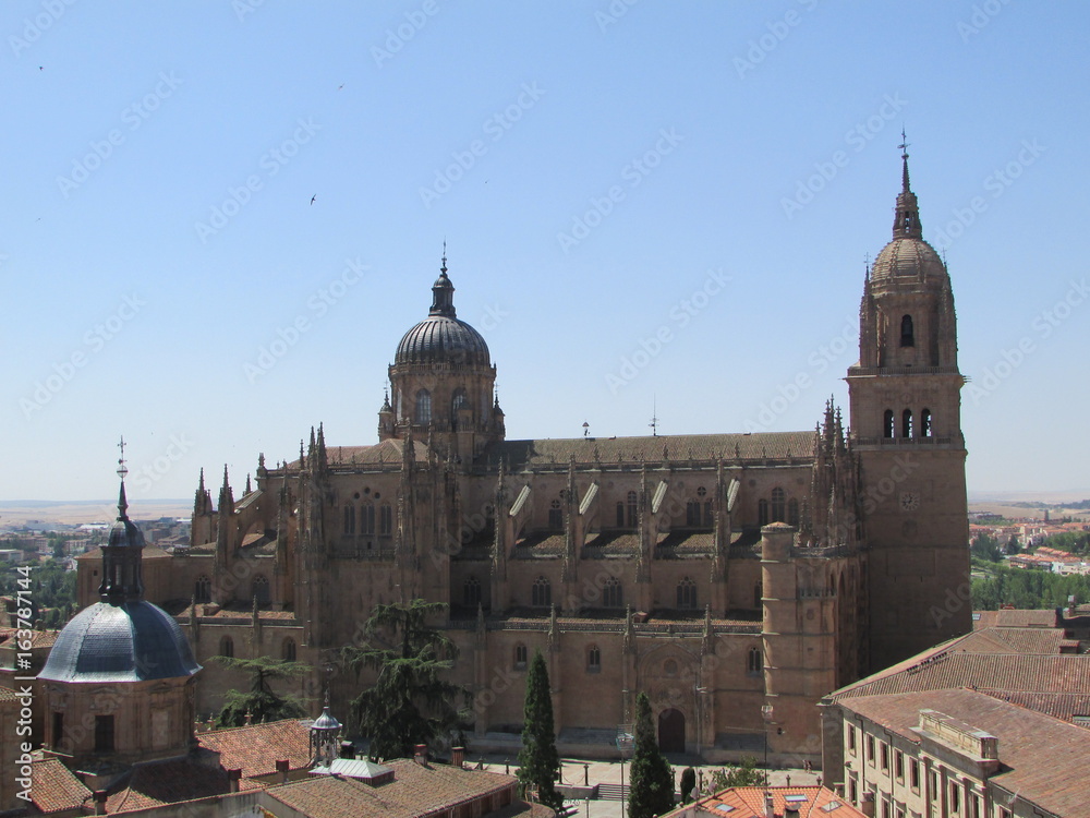 Cathédrale Salamanque Espagne Vue