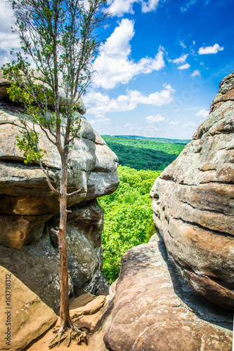 A view of the Shawnee National Forest from Illinois' Garden of the Gods