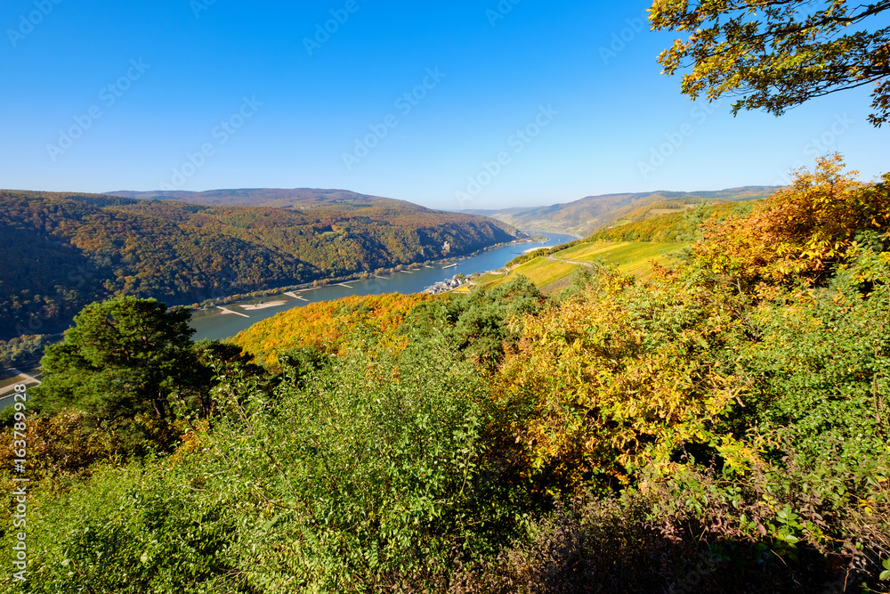 Der Rheingau im Herbst