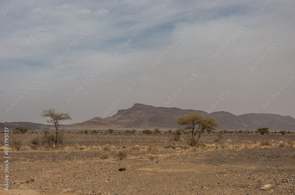Morocco steppe landscape with trees and mount at background. Area between Atlas mountains range and Sahara desert. Morocco steppe landscape with trees and mount at background. Area between Atlas mountains range and Sahara desert.