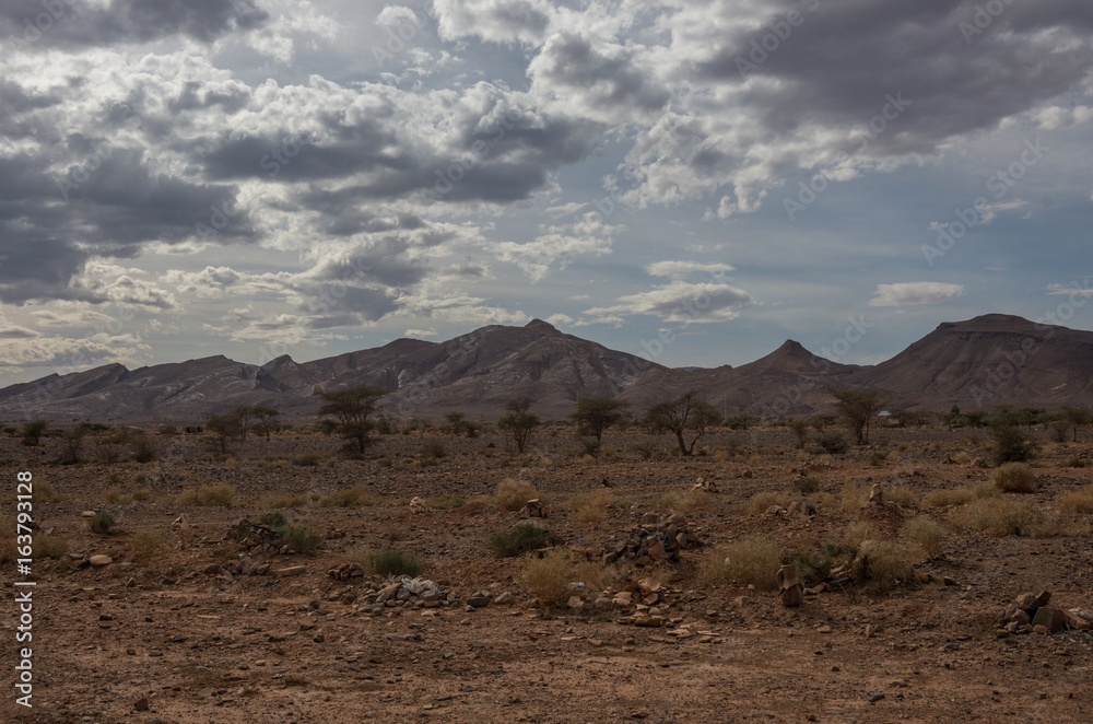 Morocco steppe landscape with trees and mount at background. Area between Atlas mountains range and Sahara desert.