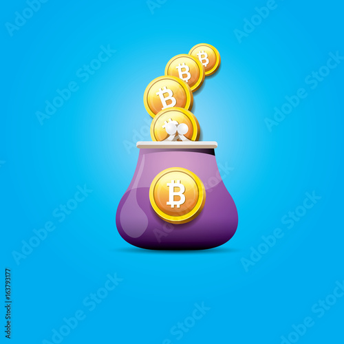 vector bitcoin wallet icon with coins