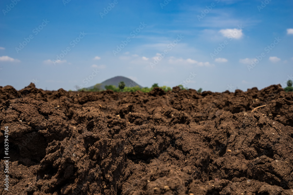 fresh soil for agriculture and blue sky and mountain