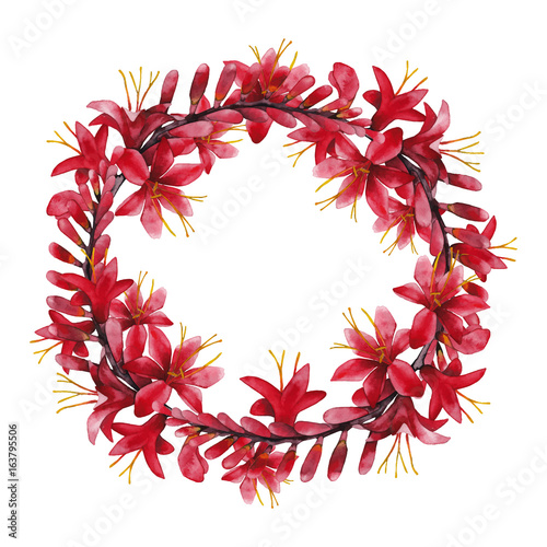 Watercolor crocosmia wreath