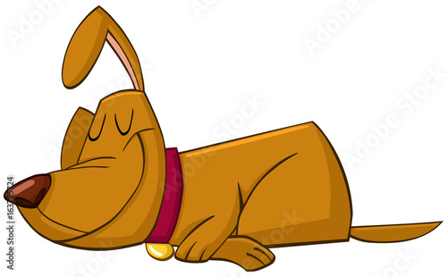 Dog sleeping