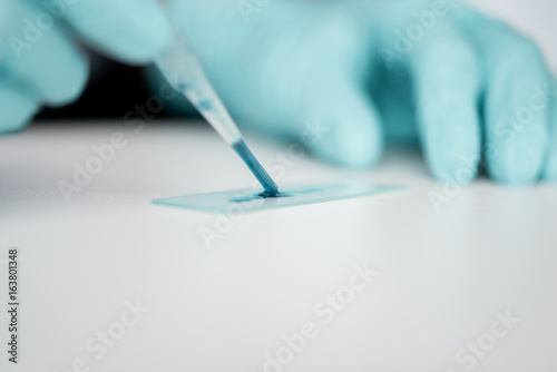 Cropped shot of scientist working with pipette and reagent while making experiment in lab