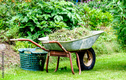 old wheelbarrow