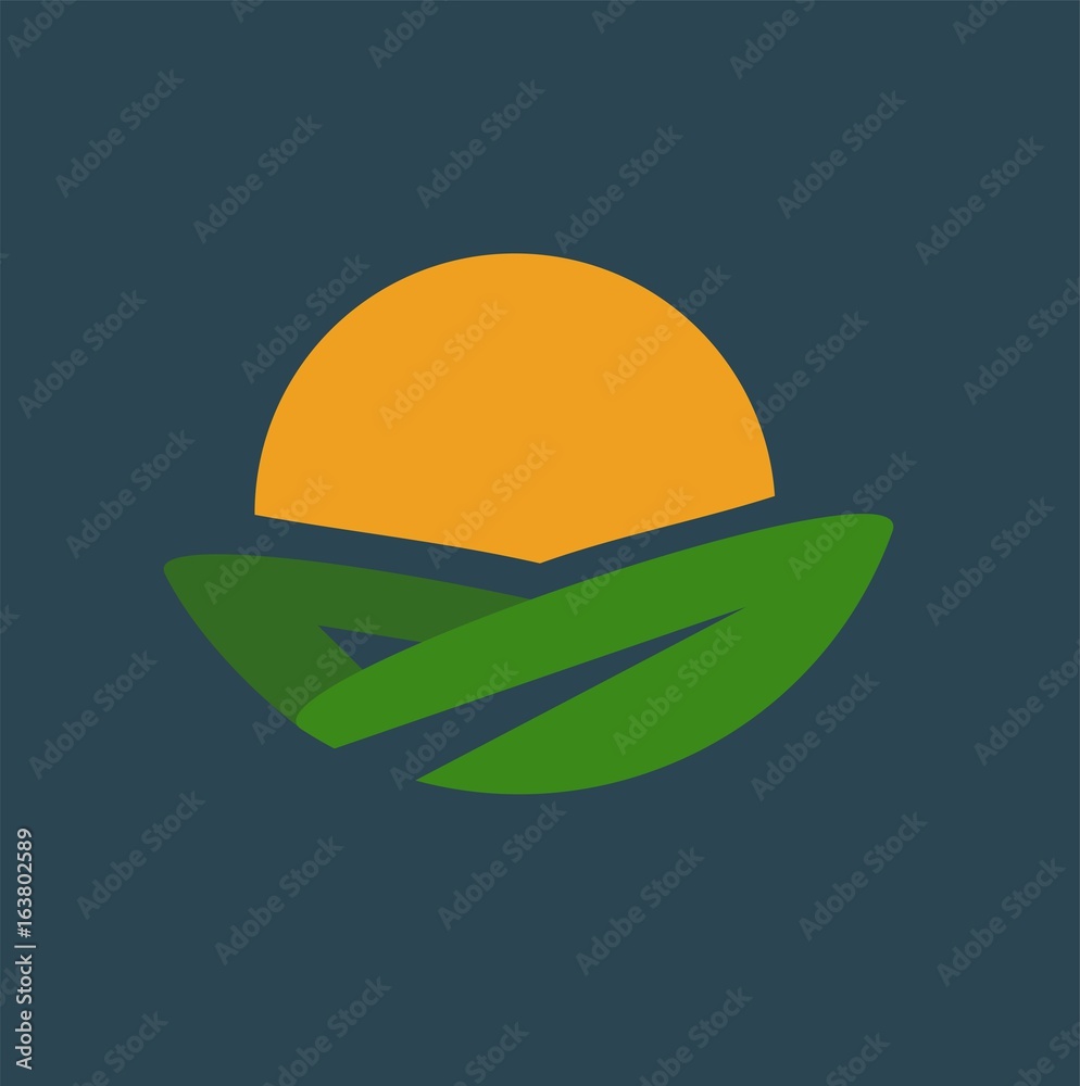 Sun leaf
Sun leaf