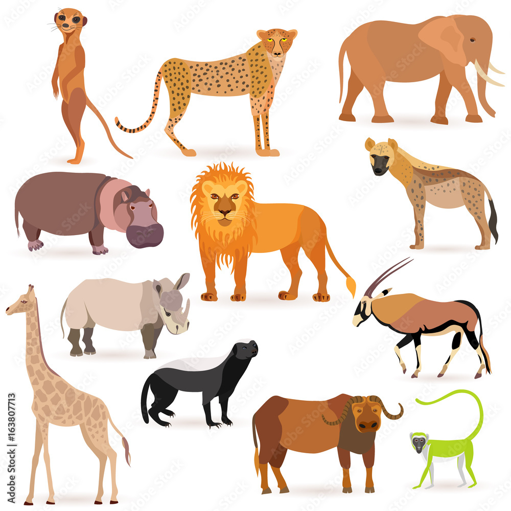 Big Set with African Animals