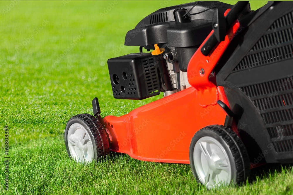 Obraz premium Lawn.
