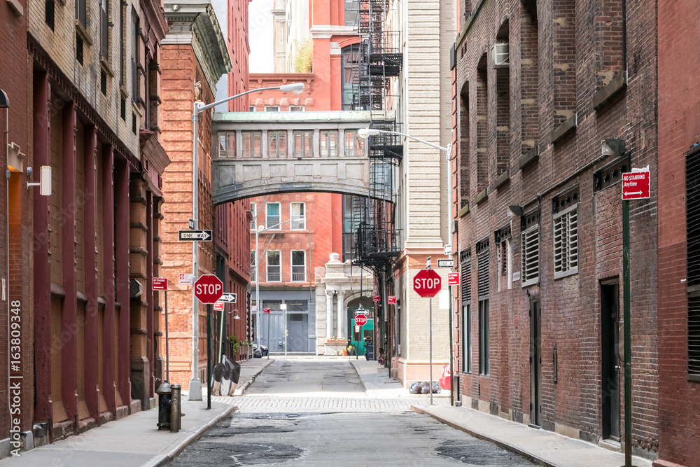 Fototapeta premium Budynki na skrzyżowaniu Staple Street i Jay Street w historycznej dzielnicy Tribeca na Manhattanie, Nowy Jork NYC