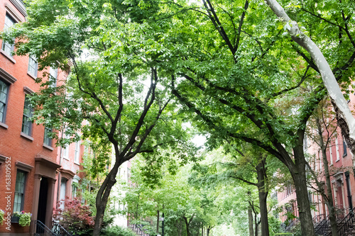 Photography Tree lined residential street in the historic West Village neighborhood of Green