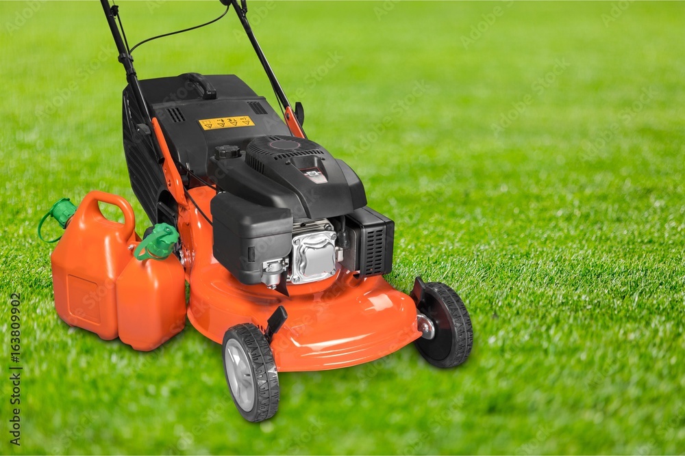 Lawn. Lawn.