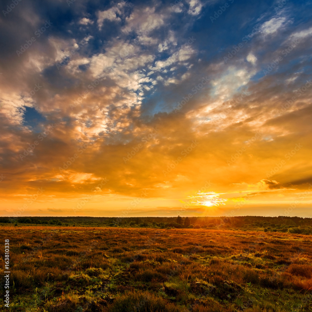 Summer field full of grass and sunset sky above. Beautiful sunset landscape.