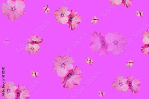 Abstract lilac background with pink flowers for Wallpaper  cards. certificates  covers.