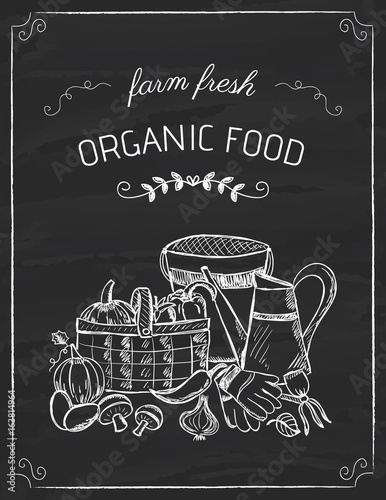 Organic food doodle on the black board