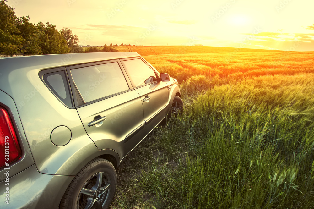Car travelling. Vehicle on a nature field as  concept eco technology.