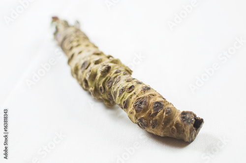 Wasabi root Japanese spice raw fresh vegetable food.
