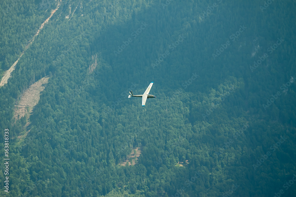 glider flying over forest