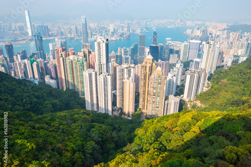 Victoria Bay and skyline in Hong Kong  China.  View from Victoria Peak on a sunny day.