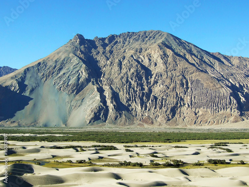 The sand dune of Nubra valley, Ladakh,  Northern India