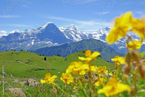 alpen: eiger, mönch und jungfrau, schweiz 