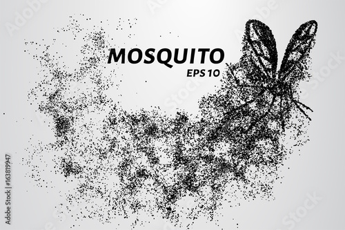 The mosquito of the particles. The mosquito consists of small circles and dots. Vector illustration