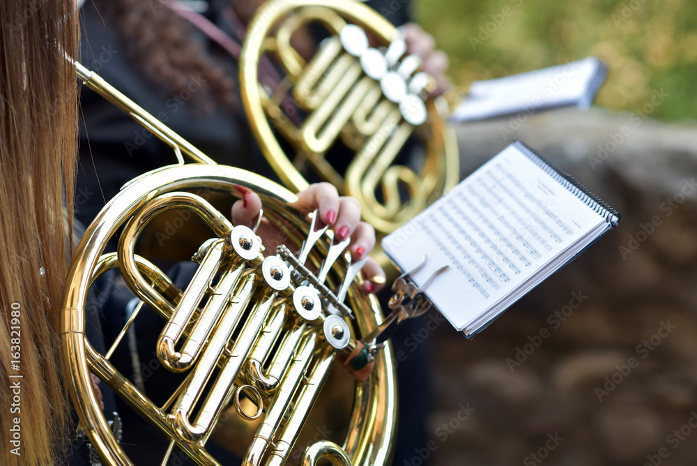 Fototapeta premium Detail of a french horn, Holy Week procession,Granada, Spain