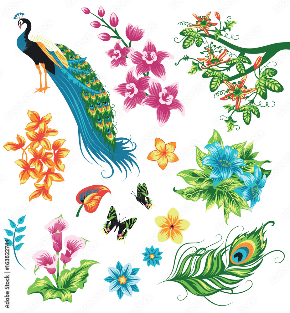 Set of tropical plants and birds.