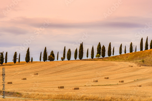 Summer landscape in Tuscany.
