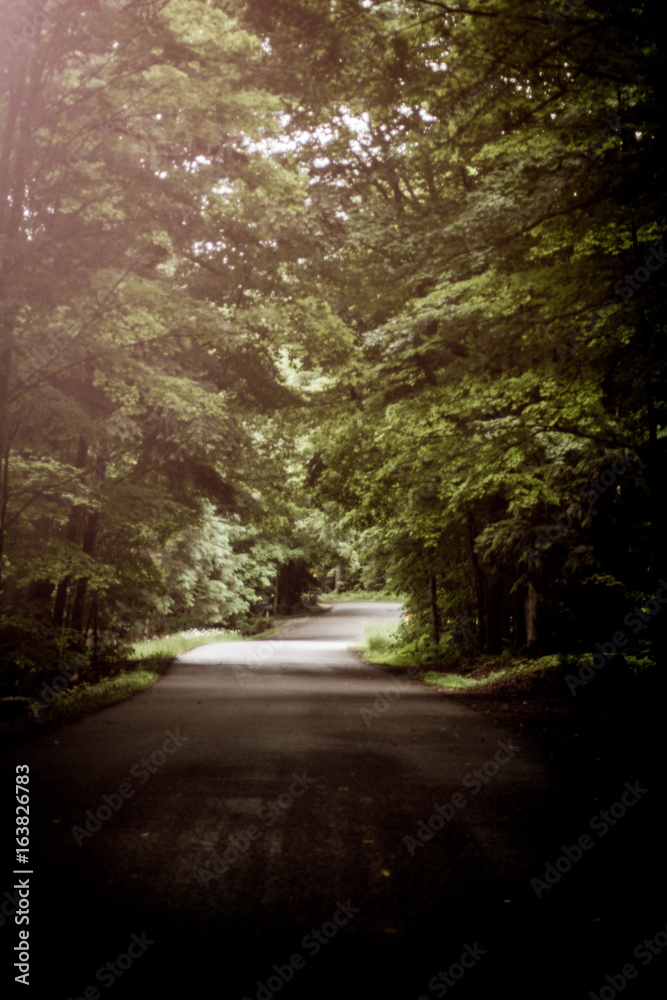 Obraz premium the road ahead